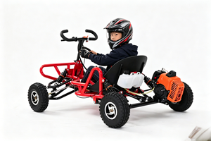 <span class=keywords><strong>Mini</strong></span> kart à essence 2 temps, 10 petites roues, 35 km/h, kart tout-terrain robuste pour adultes et adolescents - Product Image 3