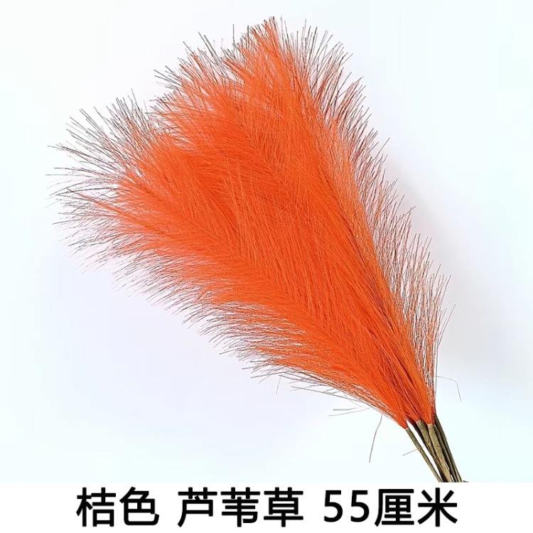 Hierba de caña naranja de 55 cm, 10 ramas.