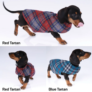 Qiqu Pet Supplies Custom New Designer Hunde mantel <span class=keywords><strong>Dackel</strong></span> <span class=keywords><strong>Mops</strong></span> jeder Hund Blei Befestigungs geschirr Loch gepolstert optional Fleece - Product Image 2