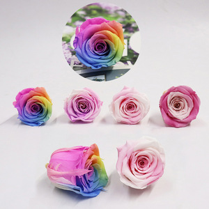 Y rosa oem promocional madre preserv rosa de alta calidad arco iris y cabezas rosa - Product Image 3