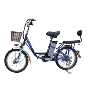 Bicicleta Eléctrica Portátil de 20 Pulgadas con Batería de Litio Extraíble - Product Image 1