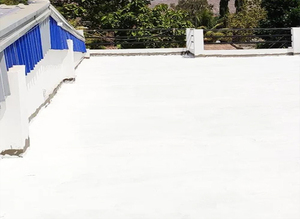 Presale White King Kong cairan lapisan berbasis air Dinding awal burung diskon pemesanan di muka manfaat promosi musiman peluncuran - Product Image 2