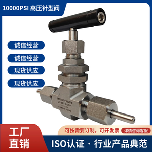 Valve à aiguille haute pression en acier inoxydable Ss-Nv10-Tf4, filetage interne 70Mpa Npt3/8 pour usage industriel - Product Image 3