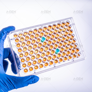 Plaques <span class=keywords><strong>Elisa</strong></span> 96 puits transparentes stériles Plaque <span class=keywords><strong>ELISA</strong></span> à fond V - Product Image 4