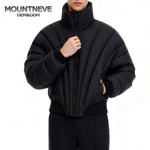 Piumino Corto Personalizzato Oversize Trapuntato con Collo Alto OEM da <span class=keywords><strong>Uomo</strong></span>, Imbottitura <span class=keywords><strong>a</strong></span> Bolle <span class=keywords><strong>a</strong></span> V, Stile Streetwear Techwear - Product Image 1