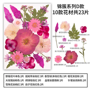 22-25 pièces/paquet, fleurs séchées pressées de la série JC, combinaison pour cadre photo en résine, <span class=keywords><strong>plante</strong></span> naturelle, Saint-Valentin, Pâques - Product Image 5