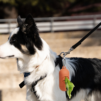 Distributeur de sacs à excréments pour chien de haute qualité, personnalisé, en silicone, imperméable, portable et écologique pour les promenades.