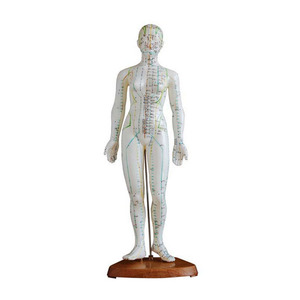 Medical <strong>Female</strong> Human Body <strong>Acupuncture</strong> <strong>Model</strong> 48CM - Product Image 1