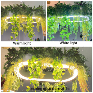 Lustre suspendu au plafond ovale à LED réglable en <span class=keywords><strong>hauteur</strong></span> pour hôpital, décoration <span class=keywords><strong>de</strong></span> plantes artificielles, éclairage moderne unique et créatif - Product Image 5