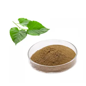 Bulk Price Wholesale 2%DNJ Mulberry Leaf Extract Mulberry Leaf Extract Powder