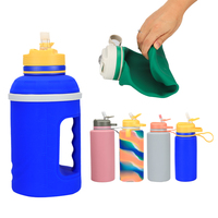 Bouteille d'eau pliable en silicone minimaliste, écologique, sans BPA, portable, 74 oz