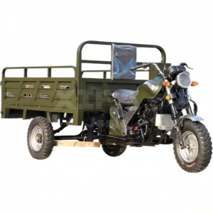 Triciclo de Pasajeros de Gasolina Cerrado de 250cc, Vehículo de 3 Ruedas con Cabina para Uso en Todo Clima - Product Image 3