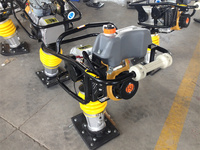 Offre Spéciale : Compacteur à plaque vibrante FSH R80 Robin, moteur EY20 refroidi par air, haute efficacité, puissance 6KW, nouveau modèle 2025, haute qualité