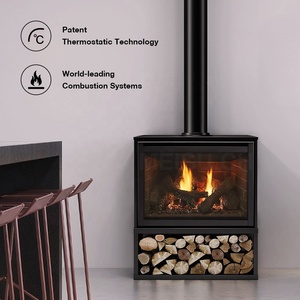 Chimenea de Gas Natural/Gas Licuado con Ventilación para Sala de Estar MEISU.CH - Product Image 5