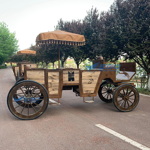 Vehículo Eléctrico de Alta Calidad, Estilo Europeo, para Recorridos Turísticos en Parques de Atracciones - Product Image 1
