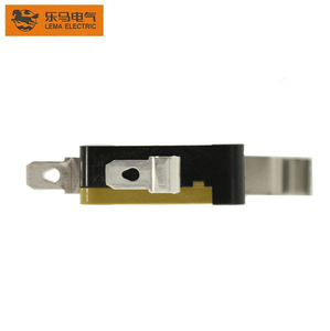 Microinterruptor de actuador de terminales de conexión rápida <span class=keywords><strong>Lema</strong></span> 125 16A/250VAC - Product Image 4