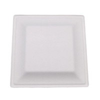Assiettes carrées en bagasse de canne à sucre biodégradables et compostables, résistantes à la graisse et compatibles micro-ondes pour les fêtes