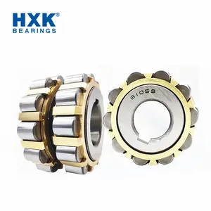 China High Quality Fast Delivery Double Row Eccentric Bearing 61059 Roller Bearing