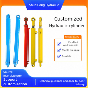 Tarım Makineleri İçin Profesyonel Teknik Destekli Kompakt Hidrolik Silindir Kolay Kurulum - Product Image 2