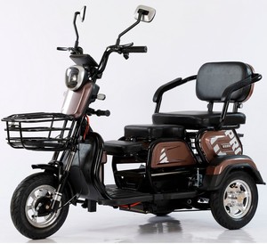 Triciclos Abiertos de 800W NUEVOS: El Gran Triciclo de Venta Ambulante de China, Trimotos - Product Image 3