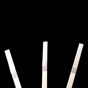 FCOV Antigen Schnelltest Kit Veterinär teststreifen zum Nachweis von Feline Coronavirus Klasse II 2-jährige Haltbarkeit Online Technisch - Product Image 5