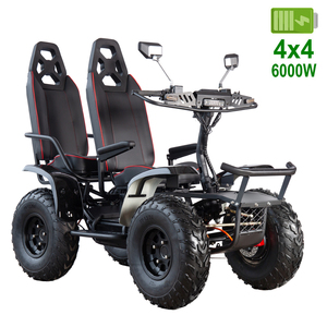 Scooter électrique tout-terrain pour adultes, haute vitesse 75 km/h, 6000 W, puissant, 2 places, 4 roues, moto <span class=keywords><strong>quad</strong></span>, scooter électrique pour la mobilité - Product Image 1