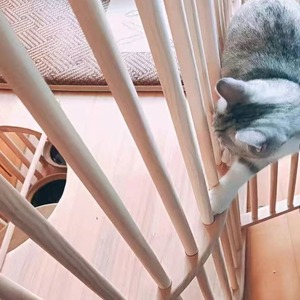 Nouvelle cage pour chat en bois massif sur mesure du fabricant, villa pour chat en bois massif, maison pour chat duplex en bois massif, maison pour chat à deux niveaux en bois massif - Product Image 5