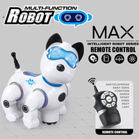 Nouvel Arrivage Transfrontalier : Jouet Robot Chien Électrique Amusant pour l'Éveil de la Petite Enfance – Abaie, Marche, Chante, Lumières, Musique, Plastique
