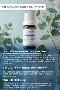 Factory Supply Bulk Eucalyptus Essential <b>Oil</b> Eucalyptus globulus Steam Distilled for Aromatherapy Cosmetics Skincare <b>Diffuser</b> - Product Image 5