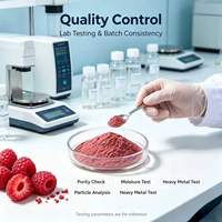 Bubuk Ekstrak Buah Raspberry Rubus Idaeus Kelas Kosmetik Langsung dari Pabrik untuk Campuran Diet dan Bahan Baku Perawatan Kulit