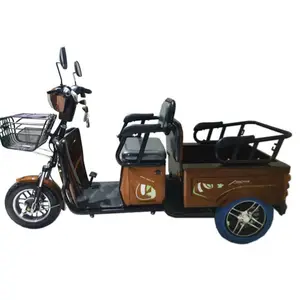 Tải Vua Nặng Tải Hàng Ba Bánh Xe Đạp Điện 2020 Hot Sale3 Bánh Xe Điện Thể Hiện Ba Bánh Cargo Bikeelectric Ba Bánh