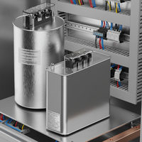 Condensador de Tipo Seco Autorreparable de 20kvar 0.48kv 100A para Motores Industriales, Transformadores, Corrección del Factor de Potencia de Alto Voltaje