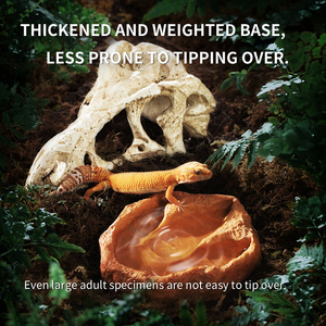 Cleen Fabrik Großhandel Harz-Dinosaurier-Schädel Dekoration Reptilien-<span class=keywords><strong>Terrarium</strong></span> Ornament Höhle Versteck für Schlangen Eidechsen Aquarium-Deko - Product Image 4