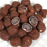 Barras de Helado de Chocolate con Arándanos Congelados, Delicias Dulces para Fiestas de Verano, Precio al por Mayor, Oferta, OEM, ODM, Etiqueta Personalizada