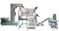 Machine de comptage et d'emballage par lots à vision avancée VX6 pour bonbons, chocolats, gommes, lessive, noix, aliments pour animaux de compagnie