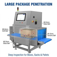 Detector de Objetos Extraños por Rayos X para Alimentos a Granel, Alta Precisión, Acero Inoxidable, Sistema de Inspección Industrial por Rayos X para Empaques a Granel