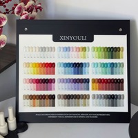 Kit Complet de 210 Couleurs de Gel à Ongles avec Présentoir – Gels UV Solides, Effet Œil de Chat et Pailletés pour Nouveaux Salons de Manucure