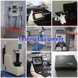 कस्टम डाई फोर्जिंग स्टील फोर्जिंग टेंट टेंट पेग - Product Image 6