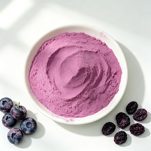 Polvo de Jugo de Arándanos Instantáneo con Aroma Frutal Suave, Polvo de Fruta Seca por Pulverización, Aditivo de Sabor para Alimentos - Product Image 2