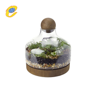 Terrarium rond en verre galvanisé fait main moderne avec base en bois pour la décoration de la maison et du jardin, récipient pour plantes d'intérieur