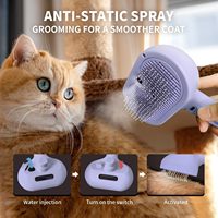 Brosse à vapeur Petop pour chat, rechargeable, avec pulvérisation, pour chiens à poils courts et longs, antistatique, outil de démêlage