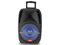 Haut-parleur audio portable intelligent et économique à LED, OEM, pour studio, discothèque, home cinéma, PA ACTIVE PRO, simple, 15 pouces, BT, USB, ROHS