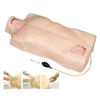 Maniquí de Torso de Inyección Venosa Central de PVC DARHMMY, Modelo Humano de Tamaño Real, Duradero, para Entrenamiento Clínico y Ciencias Médicas