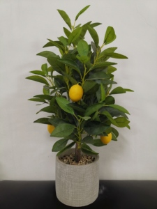 Bán buôn nhựa nhân tạo chanh bonsai cây trang trí cây ăn quả cây bụi - Product Image 4