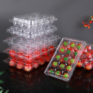 Лидер продаж, прозрачный пластиковый поднос для еды с 24 ячейками - Product Image 6