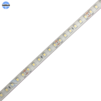 Bande LED étanche sous-marine 24V SMD2835 120 LED/m haute luminosité en silicone pour éclairage paysager de piscine