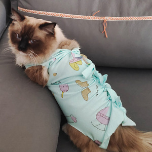 Traje de esterilización para gatos, de algodón transpirable, anti-lamido, ropa posquirúrgica para gatos, diseño lindo. - Product Image 3