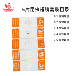 Juego de 5 piezas de juguetes educativos para niños: microscopio para observar las partes bucales, las patas, las alas y el cristal de los insectos. - Product Image 4