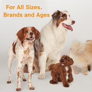 OEM モビリティと柔軟性を促進する犬用股関節チュアブル錠 グルコサミン高含有 ペットヘルスケア＆サプリメント - Product Image 4