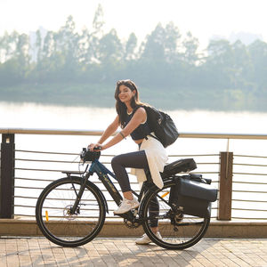 EE. UU. UE Reino Unido Almacén Asuka 250W-1000W Bicicleta eléctrica con batería de litio integrada de 36V Step Through Fat Tire <span class=keywords><strong>E</strong></span>-<span class=keywords><strong>bike</strong></span>-Voyage - Product Image 5